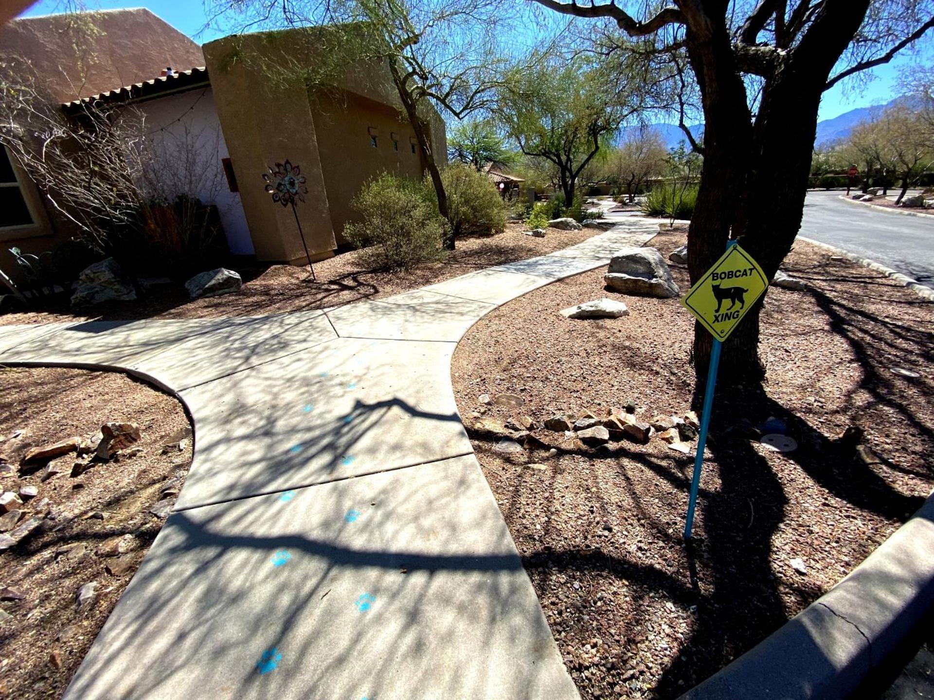 Worldmark Rancho Vistoso Oro Valley Buitenkant foto
